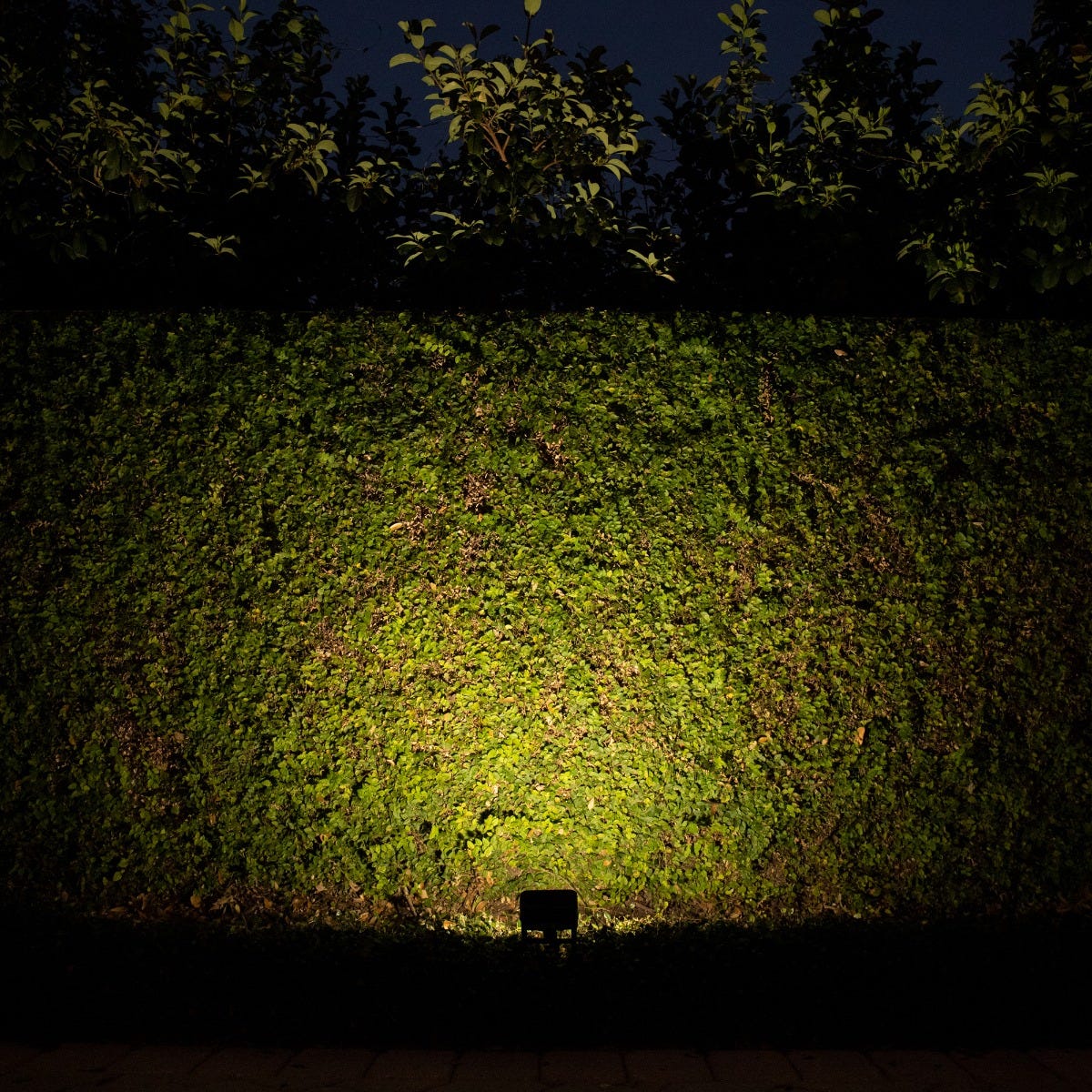 12V 10W LED Flood Light Yoke Mount VOLT Lighting