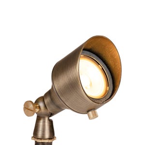 VOLT® Lucid Brass Spotlight (Bronze) illuminated.