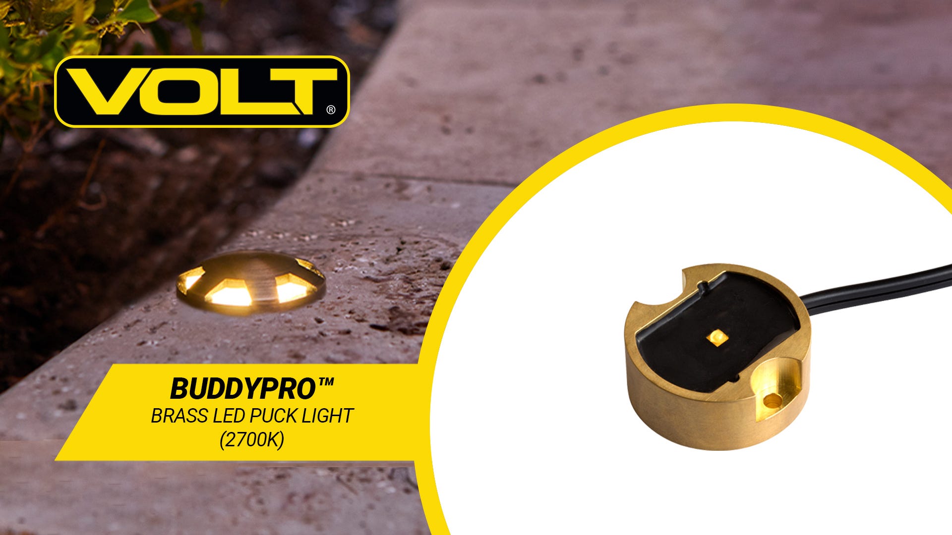 VOLT BuddyPro Brass LED Puck Light 2700K