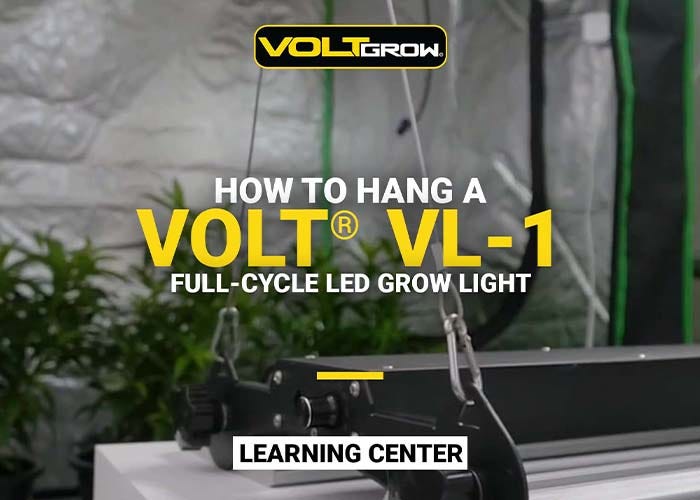 How to Hang the VL-1