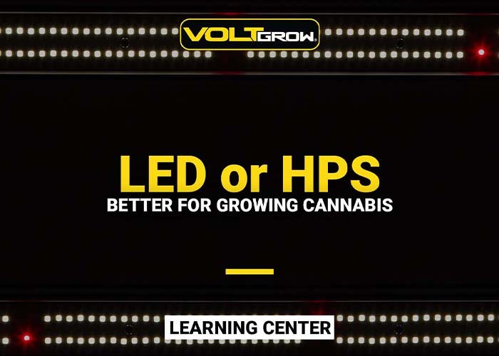 LED vs. HPS Lights