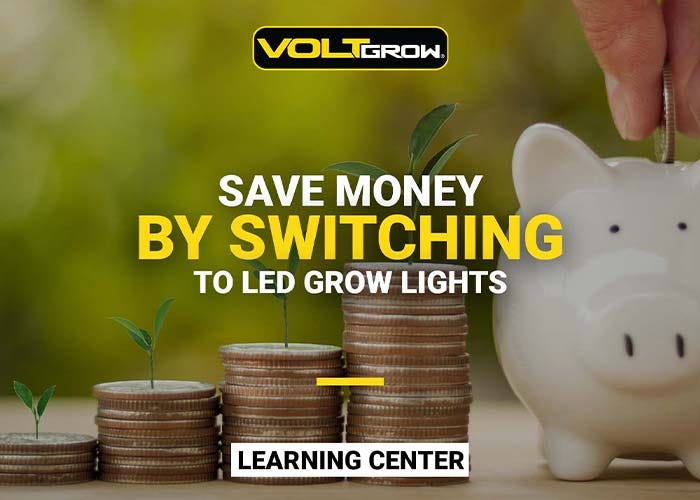 Save Money with LEDs