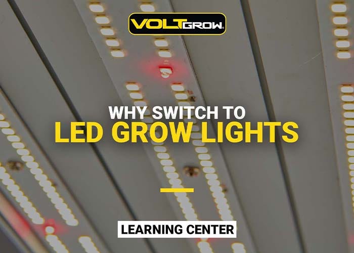 Why Switch to LEDs?