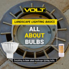 All About Landscape Lighting Bulbs