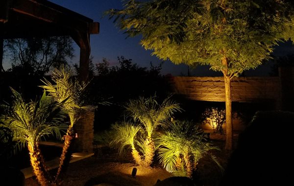 Spotlights being used to illuminate a backyard landscape