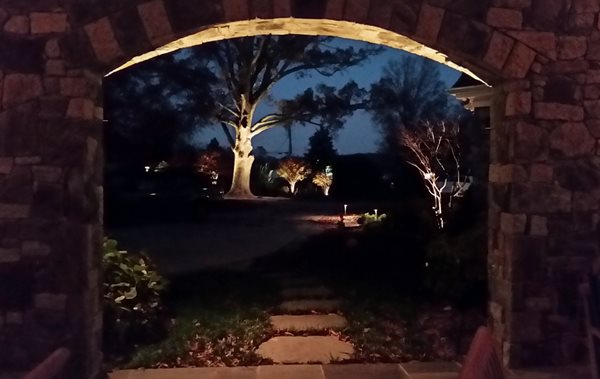 Illuminated Backyard