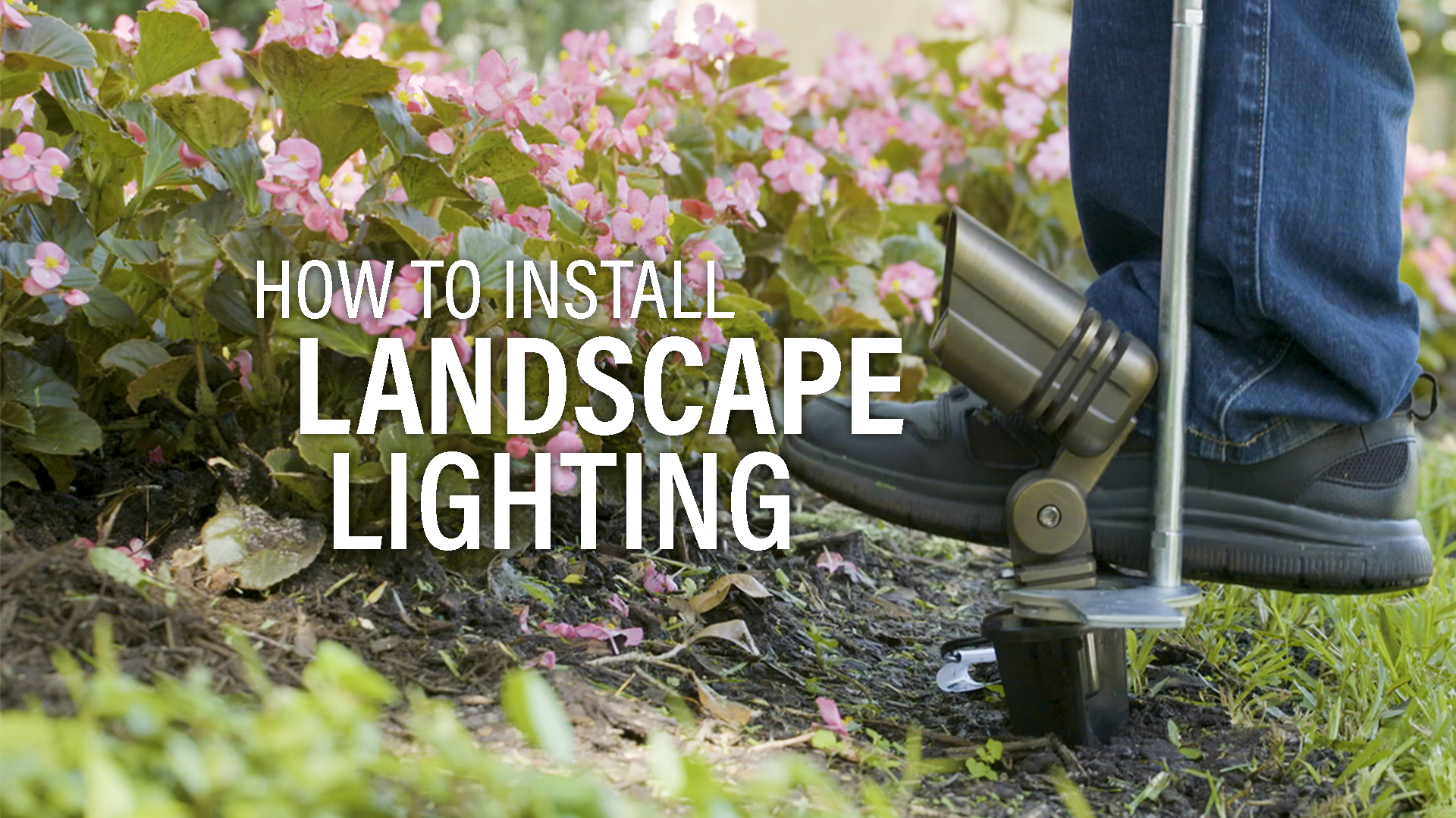 Louie Lighting Blog: Low Voltage Landscape Lighting Install