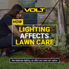 How your landscape lighting affects lawn care.