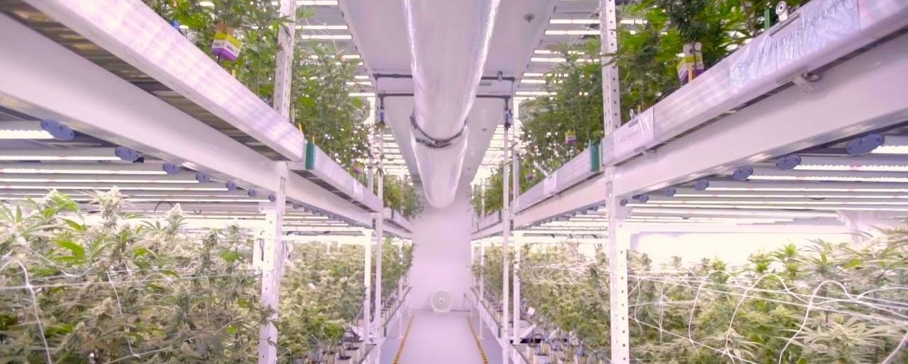 LED Grow Room