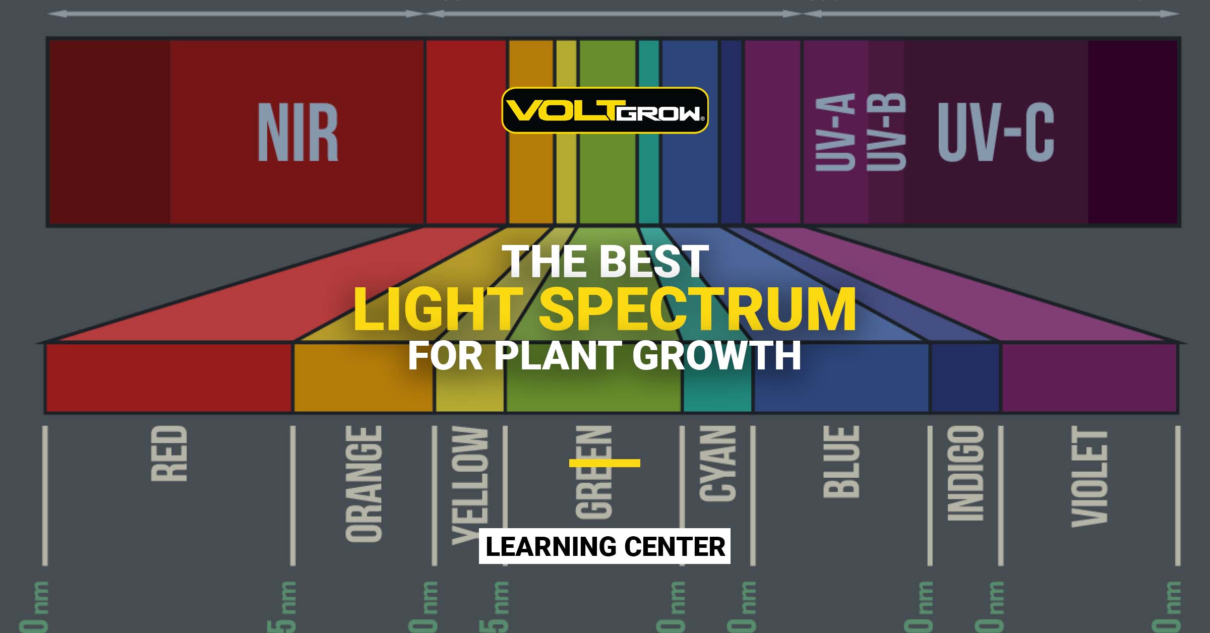 fintælling Athletic violinist What Is the Best Light Spectrum for Plant Growth?