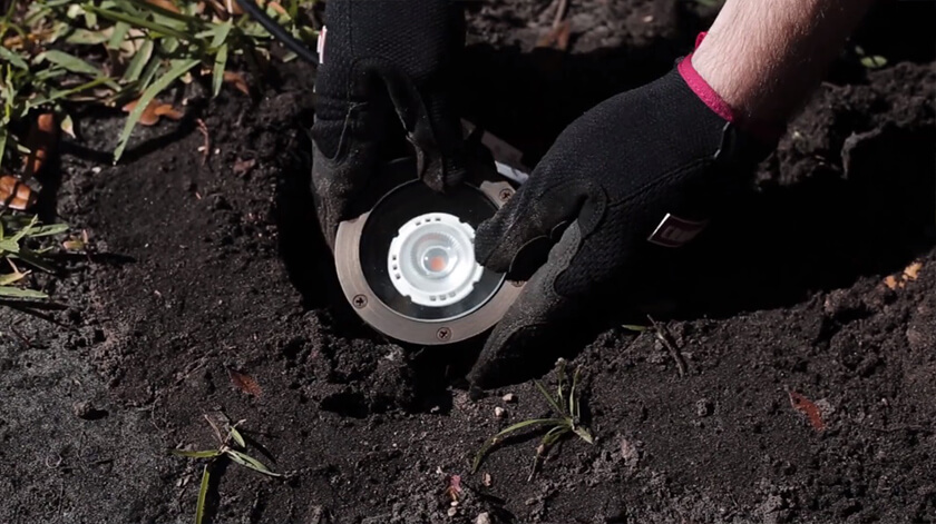 Front Yard Landscape Lighting Install