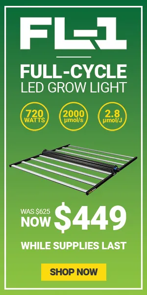 LED Lumens To Watts Conversion Chart - The Lightbulb Co. UK